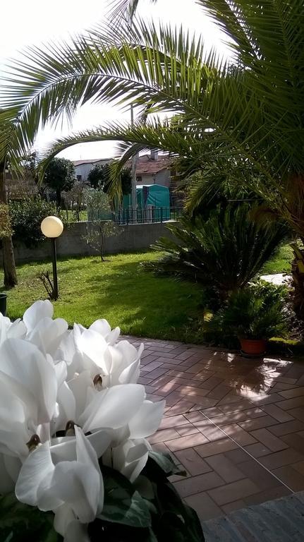 B&B La Cascina Concordia Sagittaria Exteriér fotografie